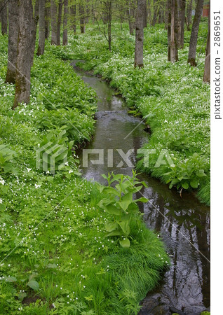 rivers, brook, creek 2869651