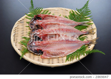 灰燼開放 2869847