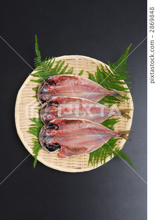 灰燼開放 2869848