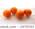 橙 2870593