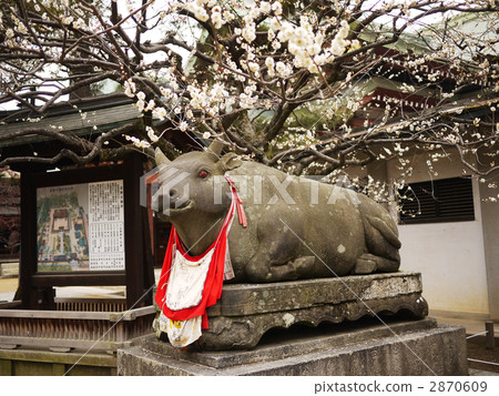 Kyoto Kitano Tenman-gu Shrimp statue Kyoto Kitano Tenman-gu Shrimp statue 2870609