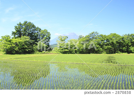 岩手鄉村風光 2870838
