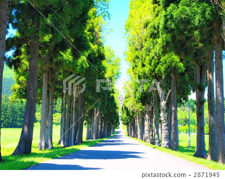  Trappist monastery 2871945