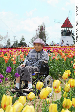 可愛的奶奶 2872046