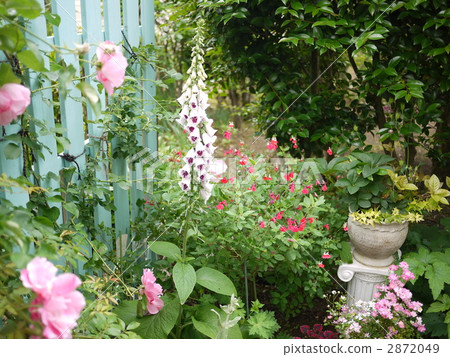 English garden English garden 2872049