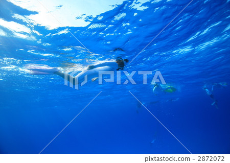 snorkeling, swim, happy 2872072