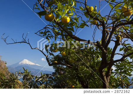 Satsuki Pass 2872162