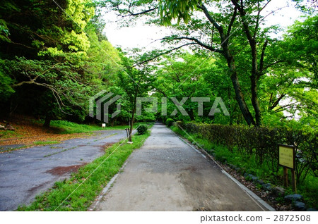 lake biwa canal, yamashina, canal 2872508