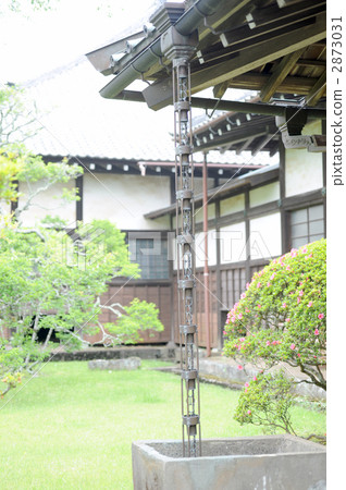 觀賞杯從陰溝裡懸掛鏈 2873031