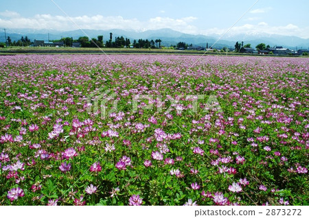 Northern Alps and Lenge Field Northern Alps and Lenge Field 2873272