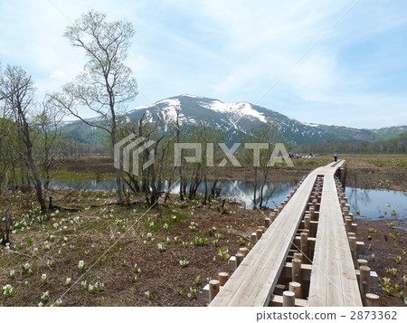 Oze國家公園Ozegahara和佛山 2873362