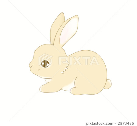 掛軸兔子圖 92981171.jpg