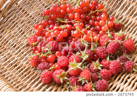 新鮮的漿果在花園裡捕獲 2873745