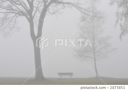 Dense fog park benches 2873851