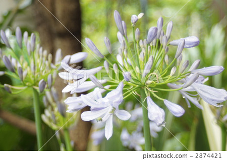 當雨季 當雨季 2874421