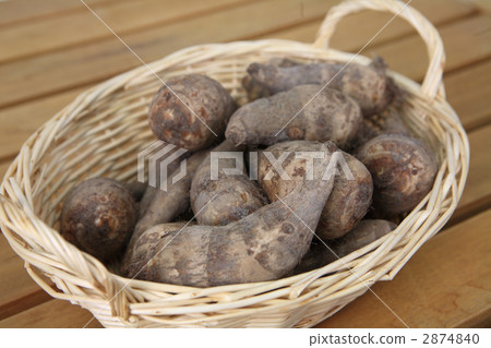 A taro in a basket A taro in a basket 2874840