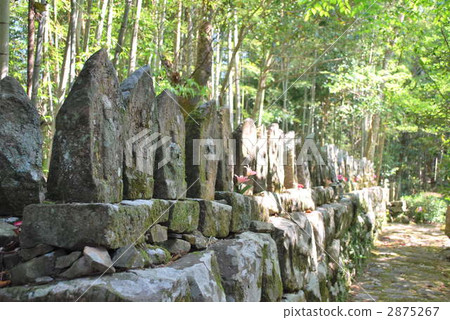[Shikoku Eighty-eight Places] Extra Sacred Ground Shinanan, Stone Buddhas through the Sunbeams Tosashimizu City, Kochi Prefecture 2875267