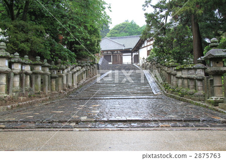 東大寺 東大寺 2875763