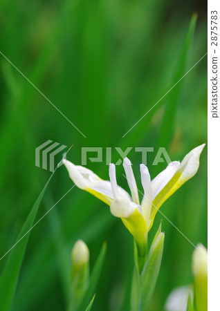 可憐的 冷靜 平靜 2875783