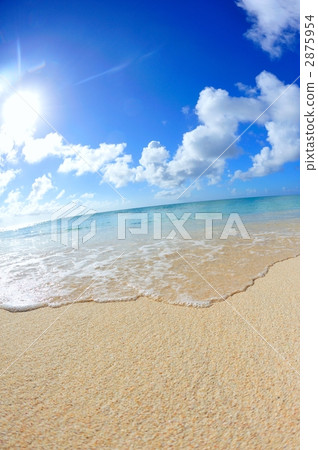 Summer image (Yoron Island) 2875954