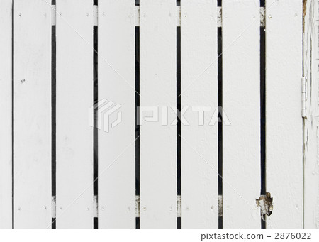 The wall of a white tree. The wall of a white tree. 2876022