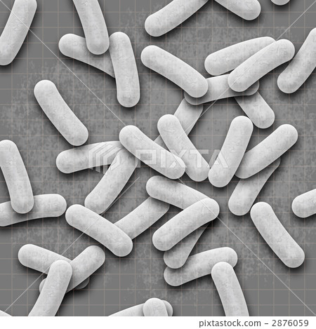 真菌圖像 2876059