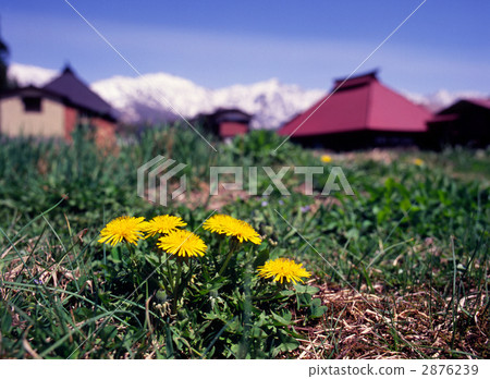 Tempopo and a private house Tempopo and a private house 2876239