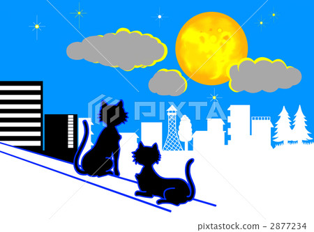 Rooftop cats to see the moon Rooftop cats to see the moon 2877234