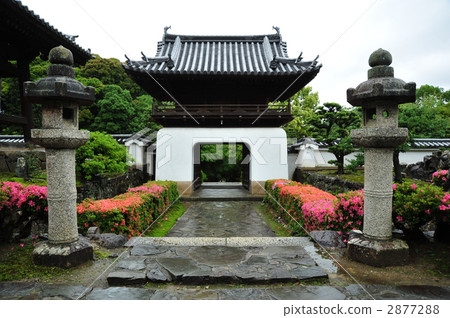 Kotobukiya Temple and Satsuki 2877288