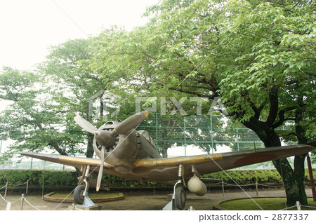 戰鬥機獵鷹 2877337