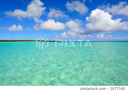 Summer image (Yoron Island) Summer image (Yoron Island) 2877580