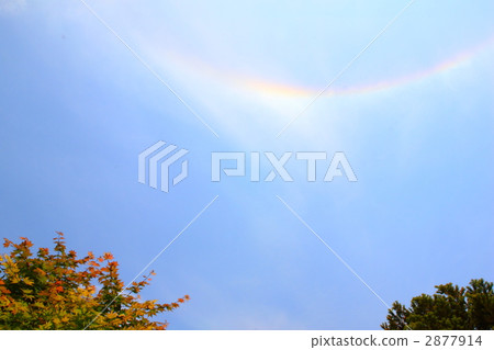 The halo of the sun The halo of the sun 2877914