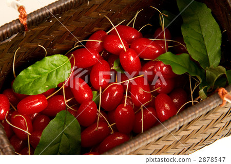 Harvesting of gummy 2878547