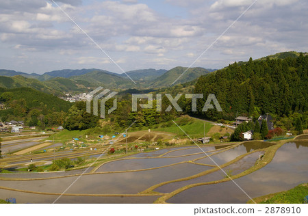 Rice terrace of Hase valley Rice terrace of Hase valley 2878910