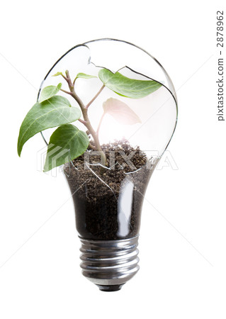 Eco image of light bulbs and young leaves Eco image of light bulbs and young leaves 2878962