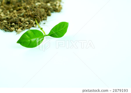 Eco image 2879193