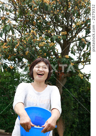 A smiling woman with a harvested biwa 2879332