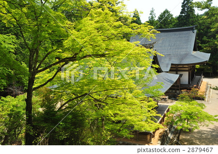 Jingo-ji寺廟在京都新綠色 Jingo-ji寺廟在京都新綠色 2879467