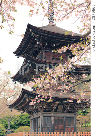 Maezanji三塔 2879665