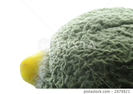 Blue mold on lemon 2879821