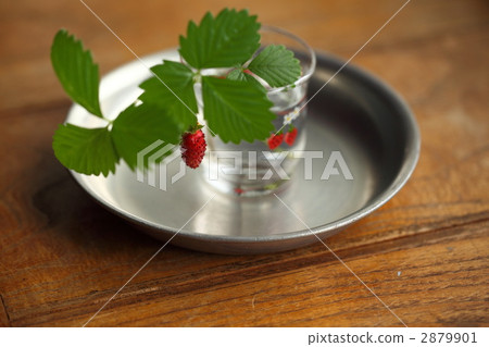 野草莓 野果 蝦夷蛇莓 2879901