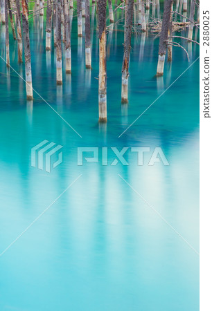 Blue god who lives in the north 2880025