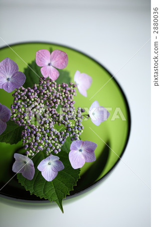 simple, cool-looking, refreshing to look at 2880036