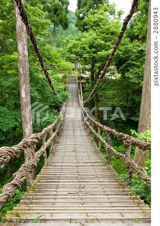 Kazura Bridge 2880943