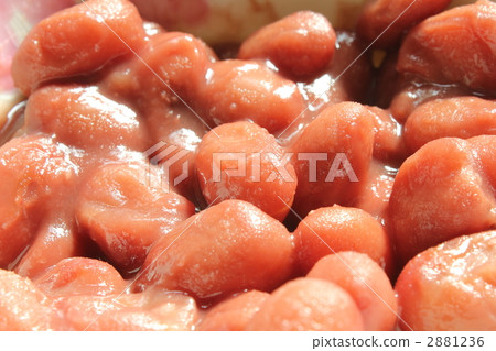 Quail beans 2881236