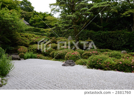 Kyoto, Satsuki blooms Kinpukuji Kyoto, Satsuki blooms Kinpukuji 2881760