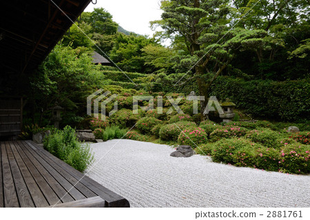 Kyoto, the side of the Sapporo blooming Kinpukuji Kyoto, the side of the Sapporo blooming Kinpukuji 2881761