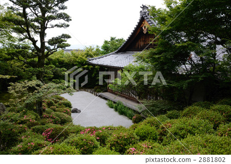 京都,小月綻放Kinpukuji 京都,小月綻放Kinpukuji 2881802