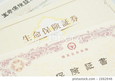 人壽保險單 人壽保險單 2882646