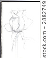 sketchbook, sketchpad, illustration 2882749